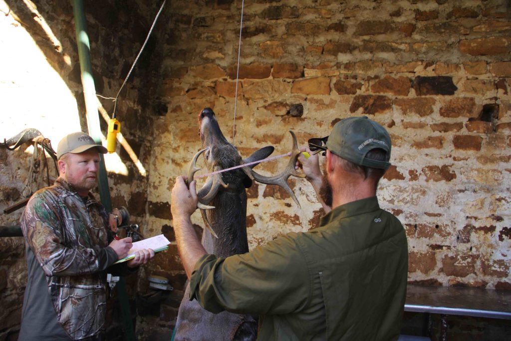 measuring-buck